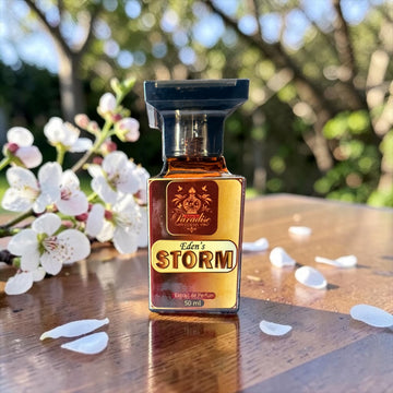 Eden’s Storm | Magnetic Men’s Fragrance - Inspired by Sauvage Dior