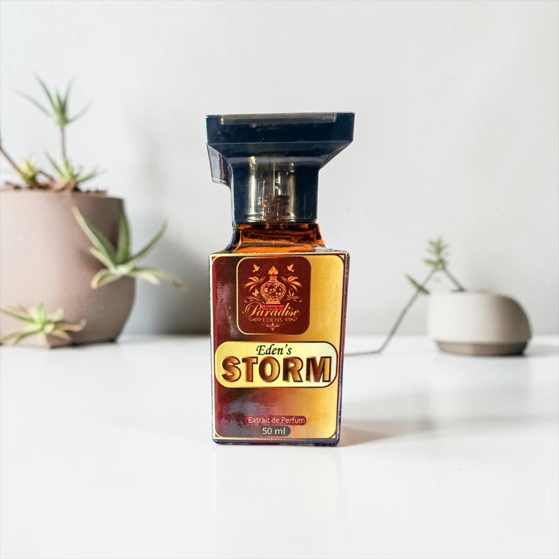 Eden’s Storm | Magnetic Men’s Fragrance - Inspired by Sauvage Dior